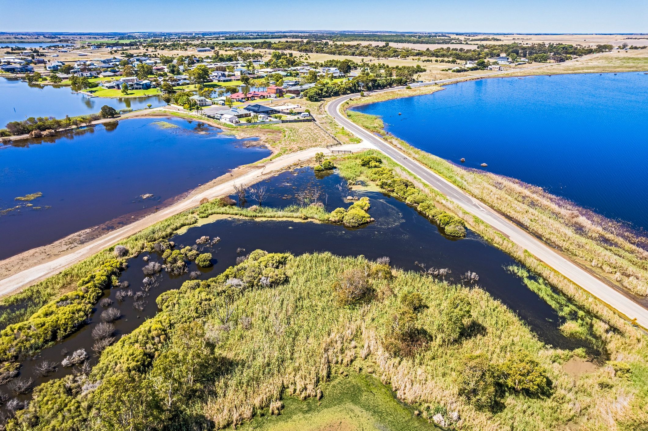 Restored wetland area
