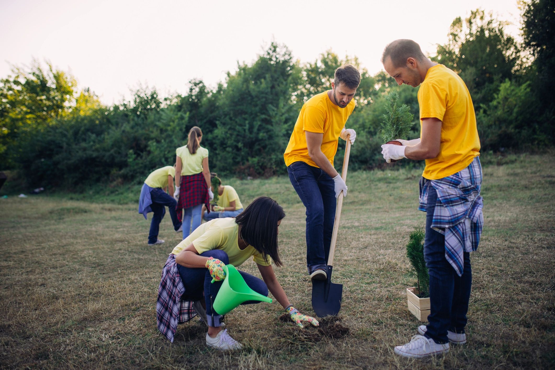 Community planting trees outdoors